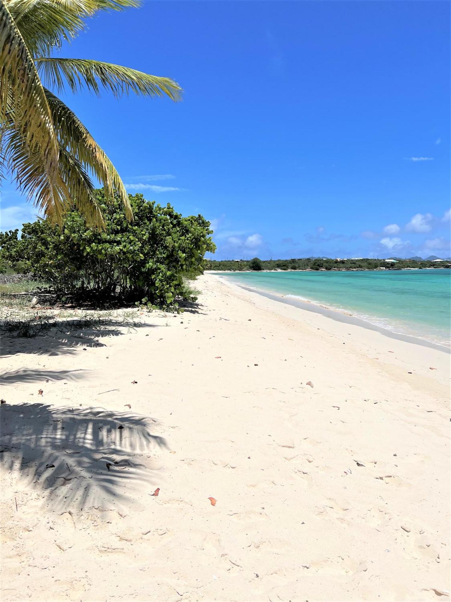 Rendezvous Bay Hotel Lower South Hill Extérieur photo